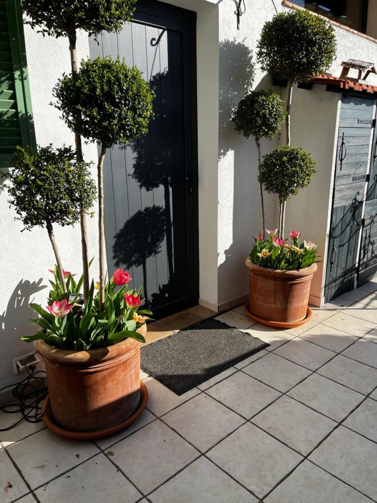 Skylark Bed & Breakfast グラース エクステリア 写真