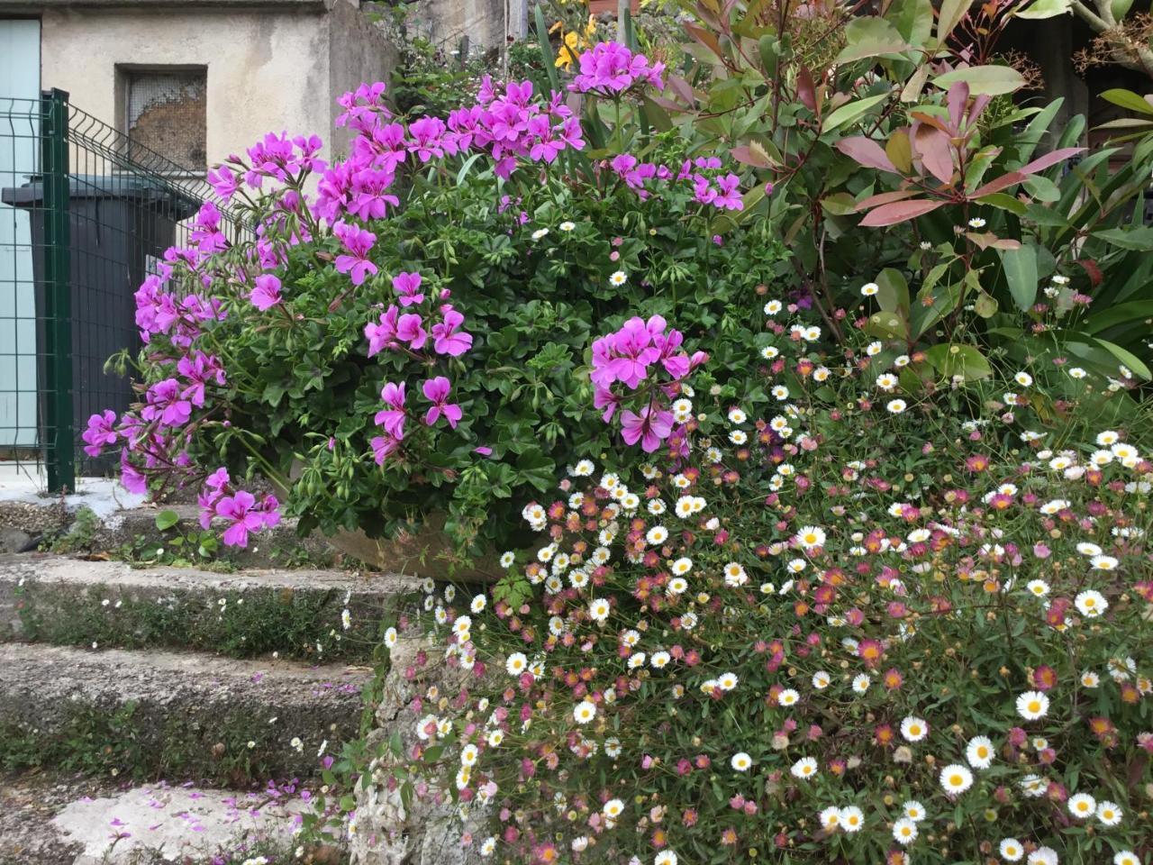 Skylark Bed & Breakfast グラース エクステリア 写真